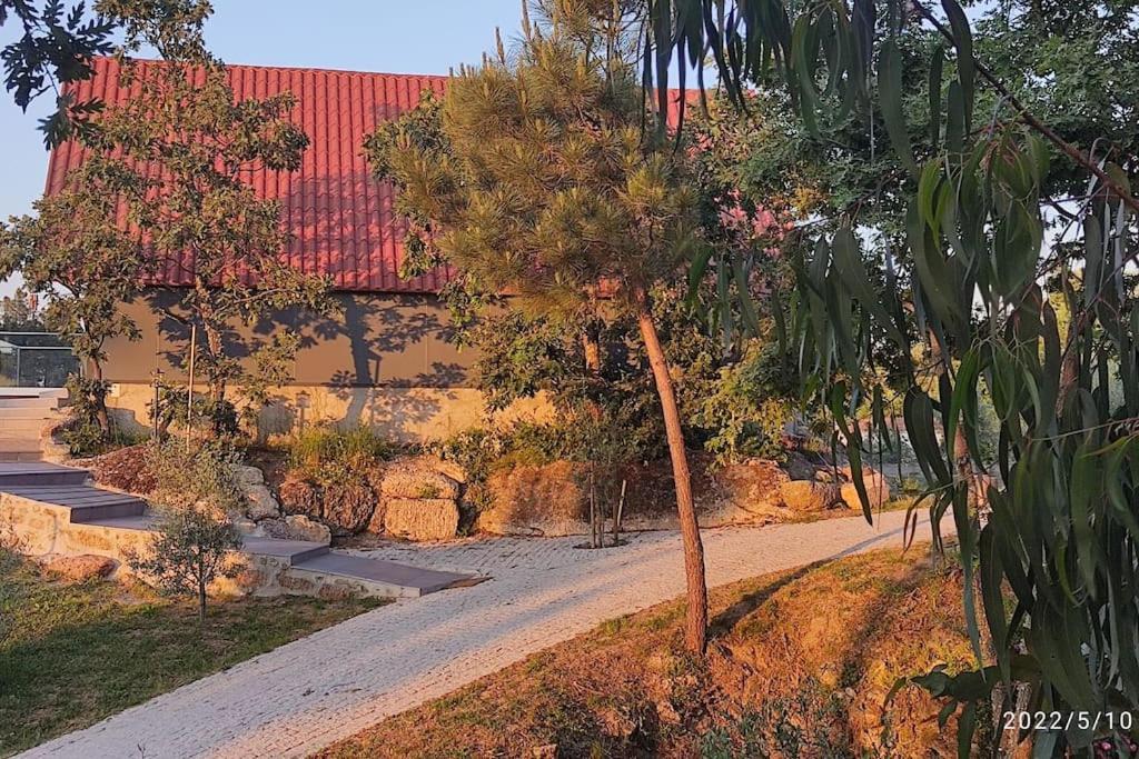 Quinta da Carrapata Casa Do Neto. Anexo Vale Da Ginjeira.ヴィラ エクステリア 写真